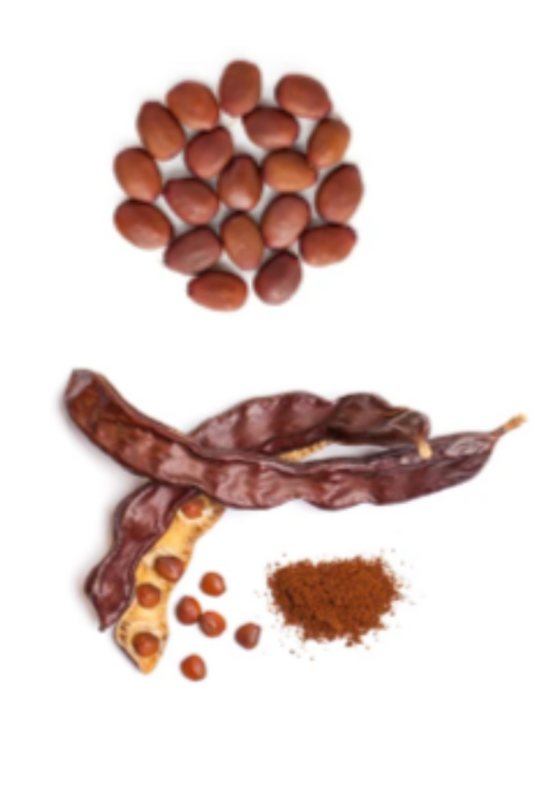 Carob Nut