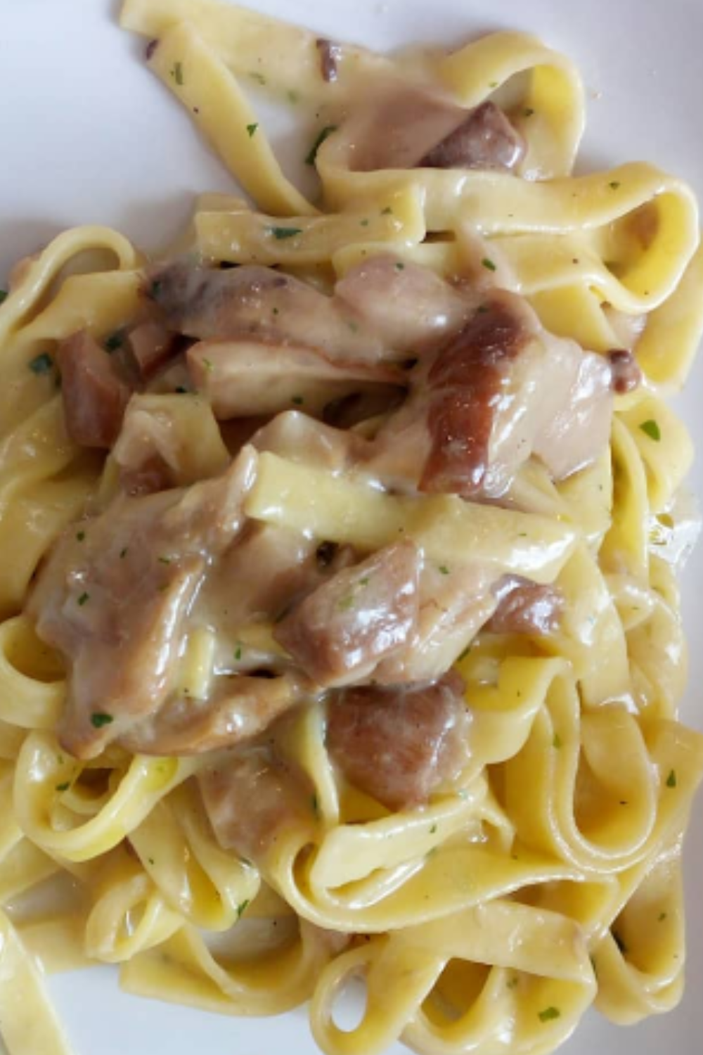 #funghiporcinifreschi🍄 #pastaday #pastaconfunghiporcini #funghiporcini #mushrooms #mushroom #mushroomphotography #foodpic #forkyeahfoodies #foodporn #food #pastalover #cucina #cucinaitaliana #italianfood #italianpasta #porcinimushrooms #gaeta #igitaly #foodblogger #foodiewinelover #foodphotography