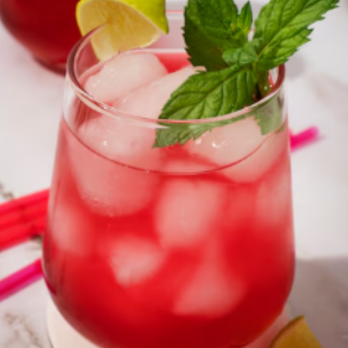 Pomegranate Mojito