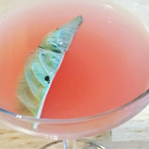 #grapefruitbasilmartini